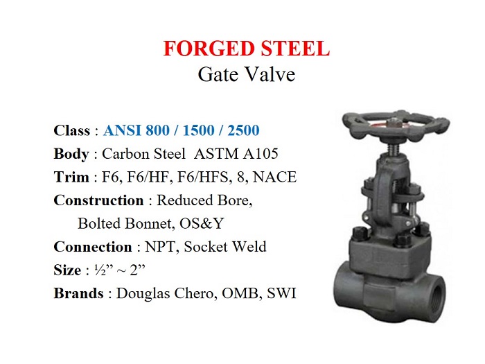 Forged Steel Gate Valve / ANSI 800, 1500, 2500, Screw & Socket Weld - Douglas Chero - Gamako